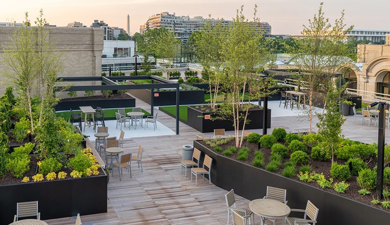 Urban rooftop garden with cafe seating, planted screens, and a city skyline